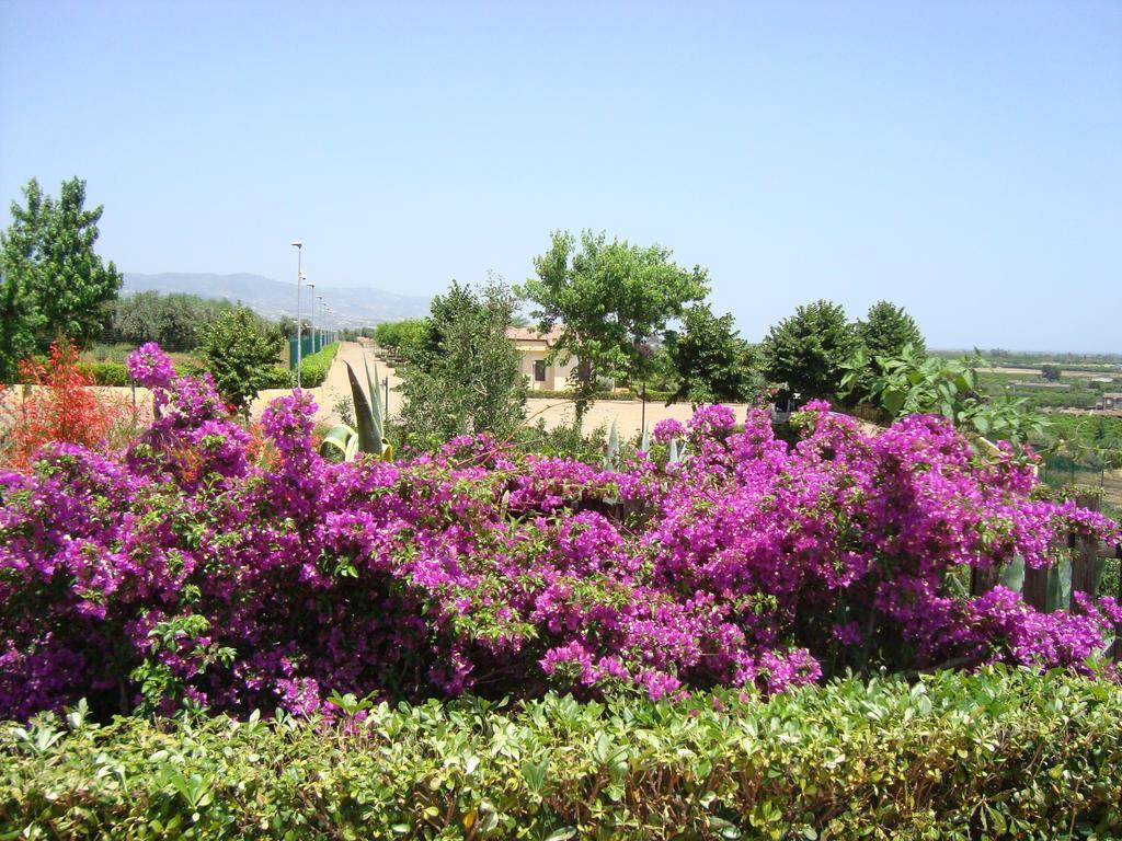 Tenuta Colle Degli Ulivi Farm stay